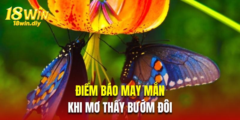 Điềm báo may mắn khi mơ thấy bướm đôi 